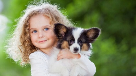 bat-mi-cac-loai-thuc-an-cho-cho-con-tot-nhat