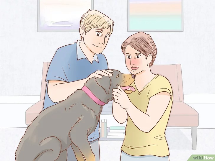 cach-de-cham-soc-cho16