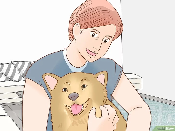 cach-de-cham-soc-cho22