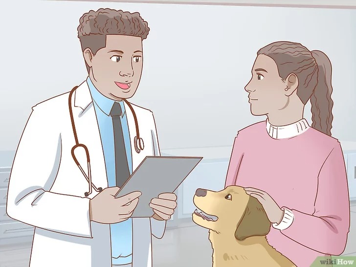 cach-de-cham-soc-cho5