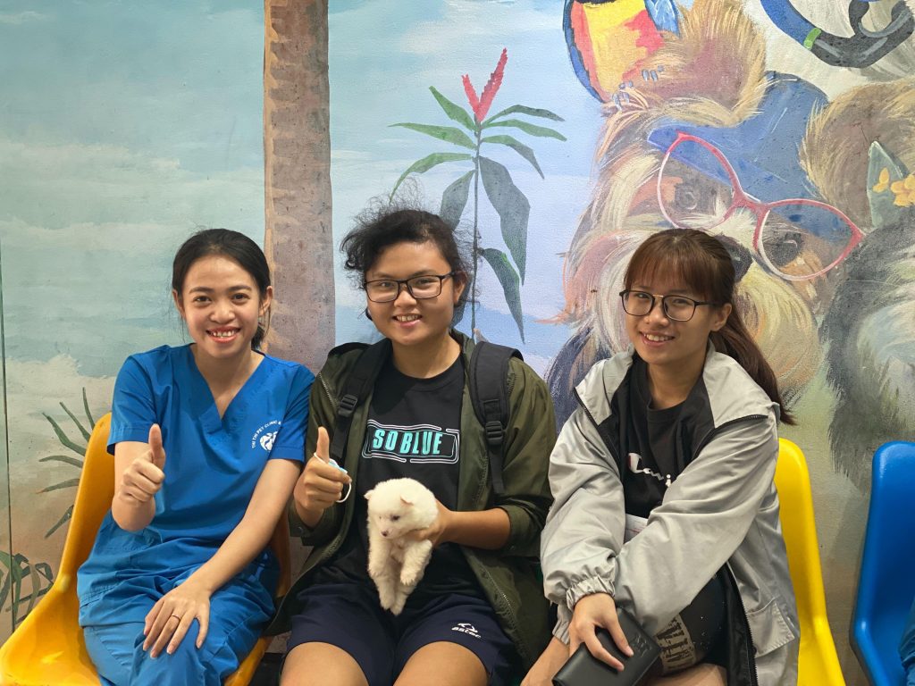 dia-diem-danh-cho-cac-thu-cung-khi-bi-benh-tai-tp-hcm