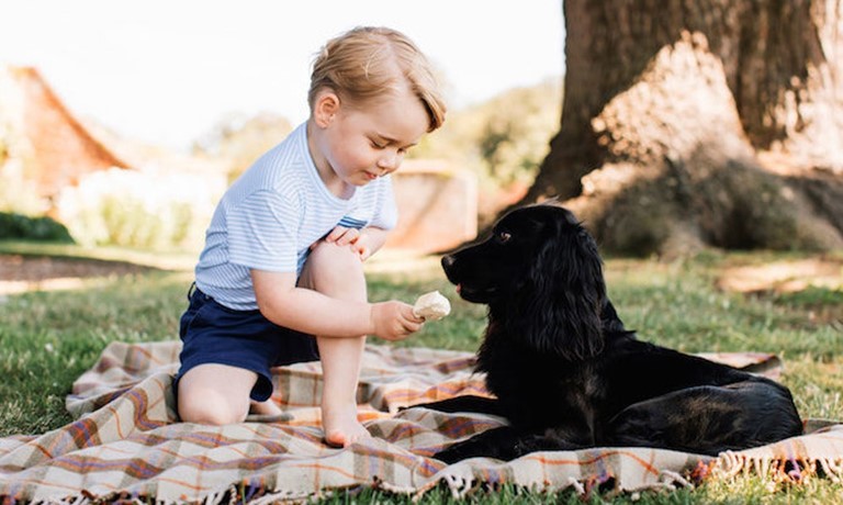 nhung-loi-ich-bat-ngo-khi-nuoi-thu-cung-voi-em-be