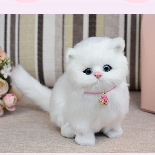 vi-sao-chon-khach-san-cho-meo-lai-den-thithi-pet2