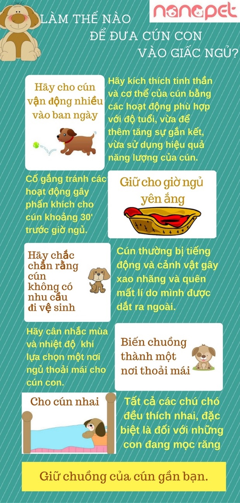 bi-quyet-giup-ban-dua-cun-con-vao-giac-ngu-sau-khi-vao-nha-moi