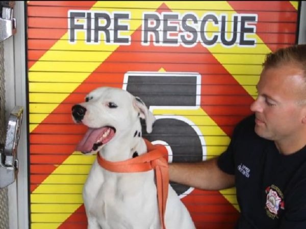 chu-cho-bi-lac-may-man-duoc-tram-cuu-hoa-cuu-mang2