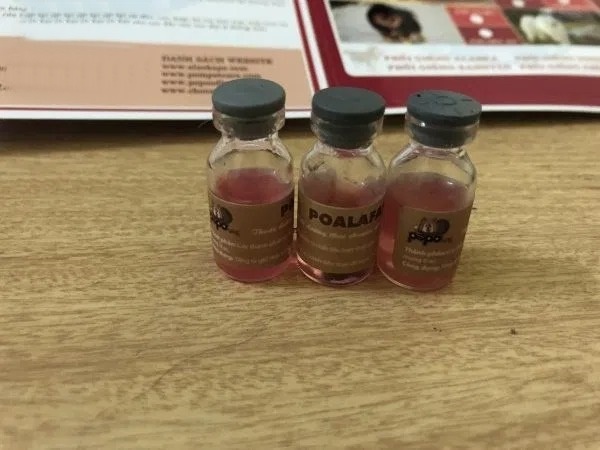 kien-thuc-giup-ban-cham-soc-cho-sau-khi-phoi-giong3