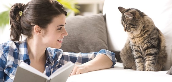 phong-kham-thu-y-thi-thi-cung-cap-dich-vu-kham-chua-benh-cho-thu-cung-tai-quan-82