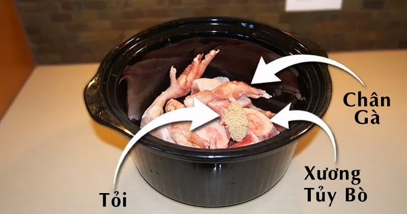 mach-ban-cach-ham-xuong-tran-day-dinh-duong-cho-cho2