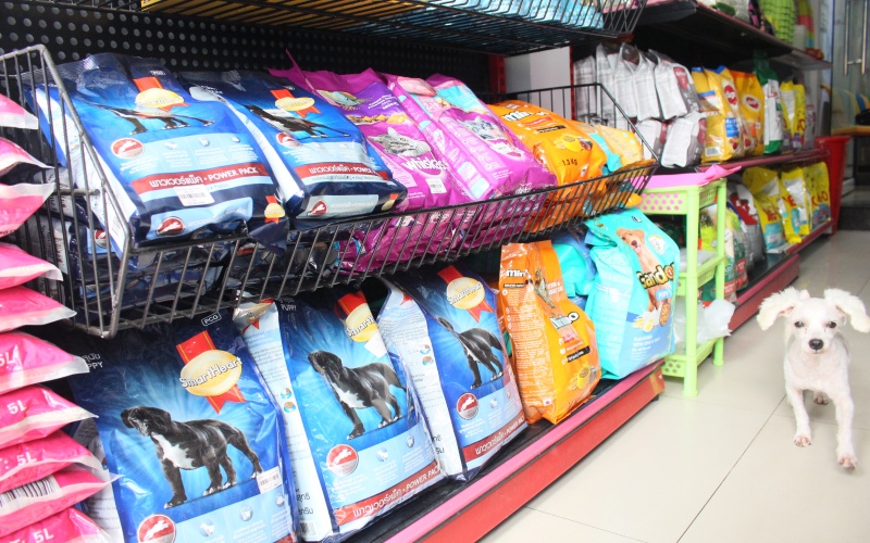 khach-san-cho-meo-noi-gui-gam-yeu-thuong