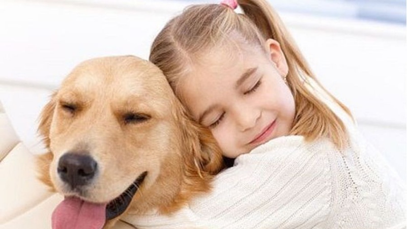 Chủ động hơn khi chó bị ung thư nhằm cải thiện cuộc sống của chó