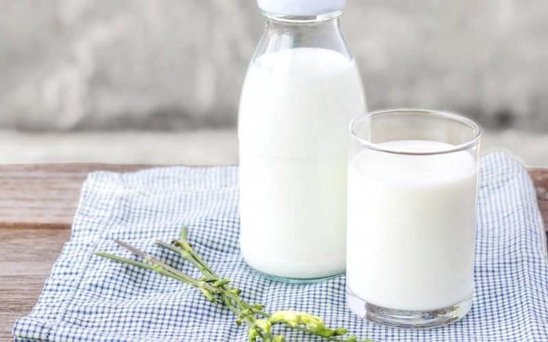 Sữa được xem là nguồn dinh dưỡng không thể thiếu đối với thú cưng