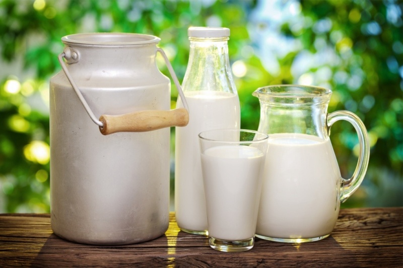 Nên hạn chế cho bé uống sữa bò vì sữa bò có hàm lượng lactose cao