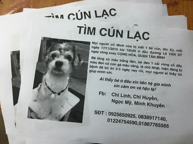 Làm poster “Chó mất tích” để tìm cún cưng của bạn.