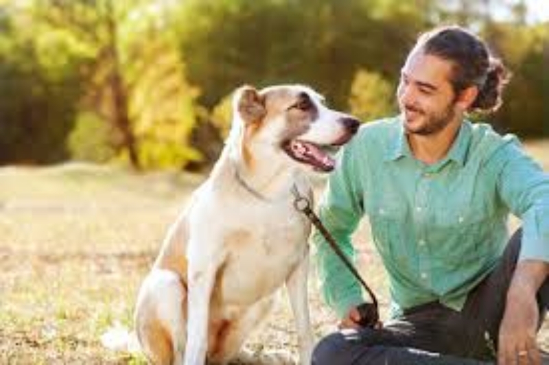 Bạn nên dành nhiều thời gian với cún cưng để tăng tình cảm với chúng