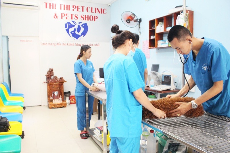 Đến với phòng khám thú y Thi Thi thú cưng của bạn sẽ được thăm khám và điều trị tận tình và chu đáo.