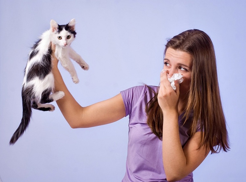 Trong trường bất khả kháng, chủ nhân vẫn phải đưa ra quyết định cách ly mèo.