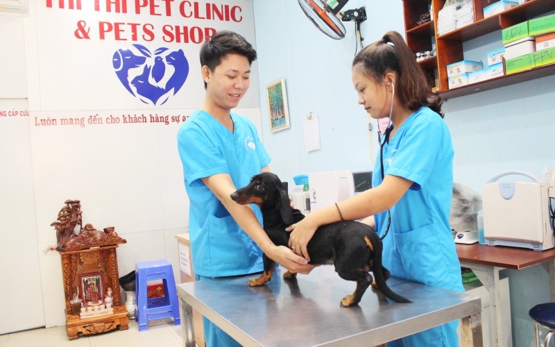Thú cưng được chăm sóc cẩn thận khi được lưu chuồng tại phòng khám Thú Y Thi Thi.