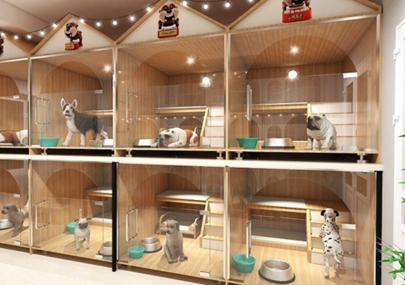 Như thế nào là một khách sạn cho mèo tốt nên lựa chọn?