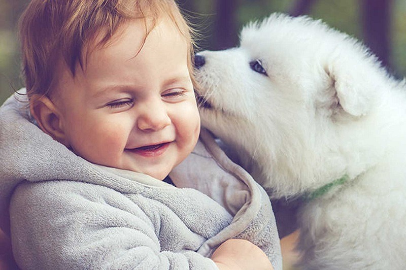 Trẻ con là người bạn tuyệt vời của thú cưng