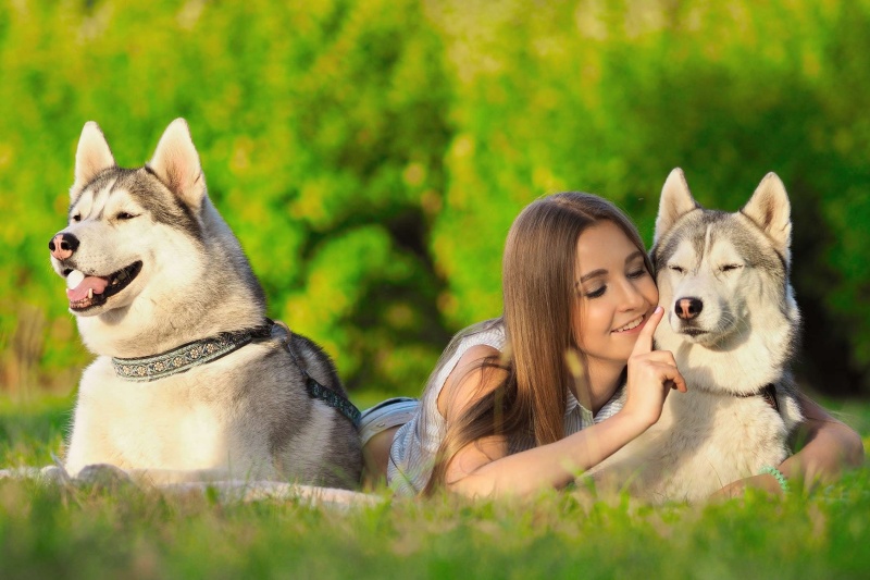 dau-hieu-hanh-vi-ghen-tuc-o-vat-nuoi-va-cach-xu-ly2