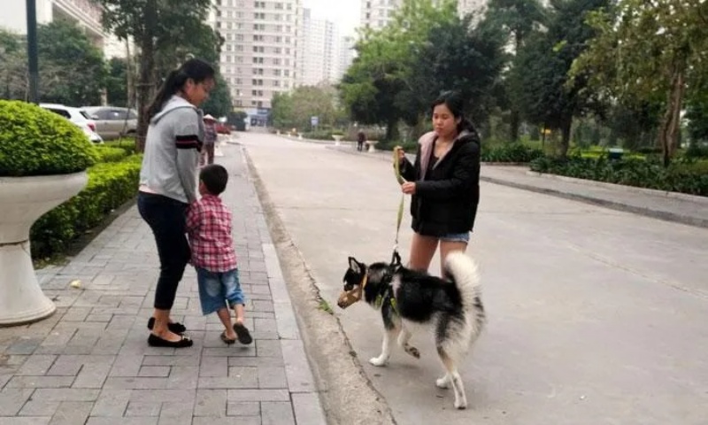 nguyen-nhan-cho-can-ro-mom-khi-ra-ngoai1