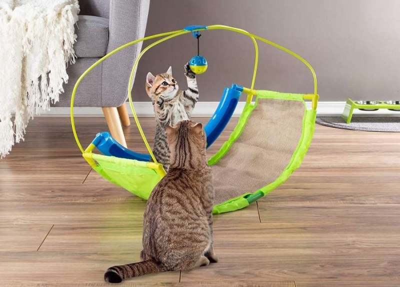 nguyen-nhan-meo-an-cat-ve-sinh-va-cach-xu-ly2