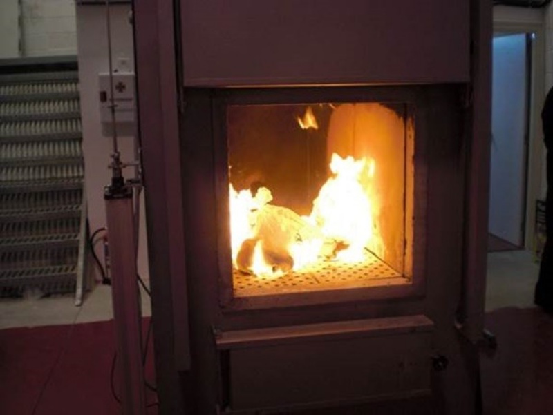 Hoả thiêu thú cưng là một hình thức an táng văn minh nhất tại các quốc gia lớn trên thế giới