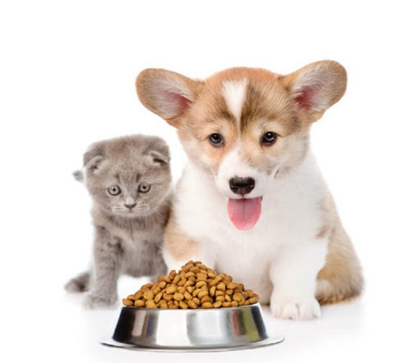 Cửa hàng Pet shop với những sản phẩm chất lượng tốt