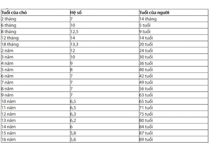 Cận cảnh bảng tính tuổi chó trung bình theo tiến sĩ Pugnetti