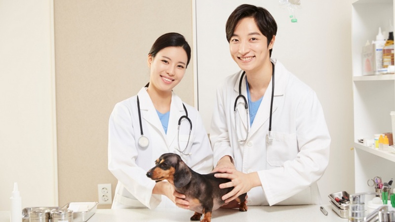 Chọn đúng bác sĩ giỏi và phòng khám làm việc chuyên nghiệp sẽ được phục vụ chu đáo, điều trị hiệu quả cho thú cưng của bạn