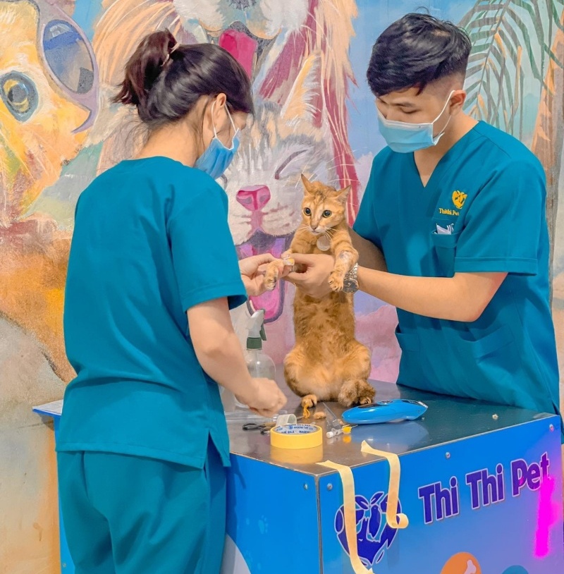 Chủ nuôi cần nắm được thời gian để khám sức khỏe định kỳ cho thú cưng