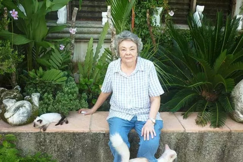 tim-hieu-ve-nhung-ki-luc-cua-loai-meo