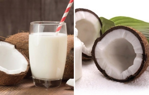 Dầu dừa và nước cốt dừa cũng được đánh giá rất an toàn cho chó cưng