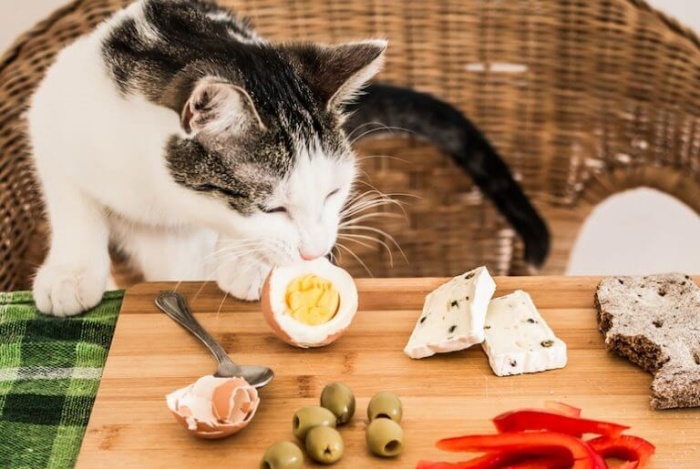Trứng được xem là loại thực phẩm chứa rất nhiều dinh dưỡng.