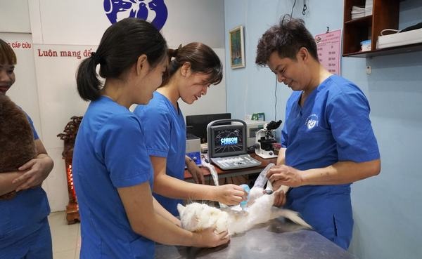 nen-lua-chon-phong-kham-bac-si-thu-y-quan-tan-binh-nao